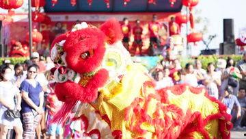 舞狮子表演视频爆料软件,独家视频爆料带你领略传统民俗魅力